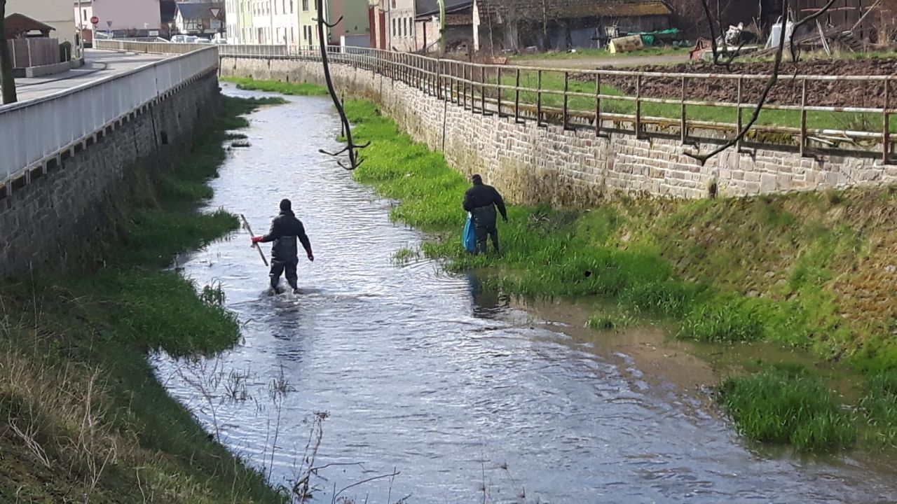 IMG-20220409-WA0022_1.jpg