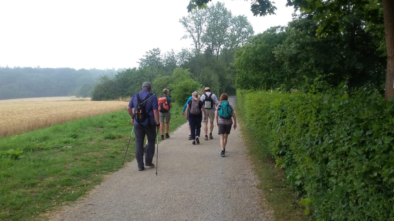 5336fee8-49a5-4749-8deb-017e171a4431