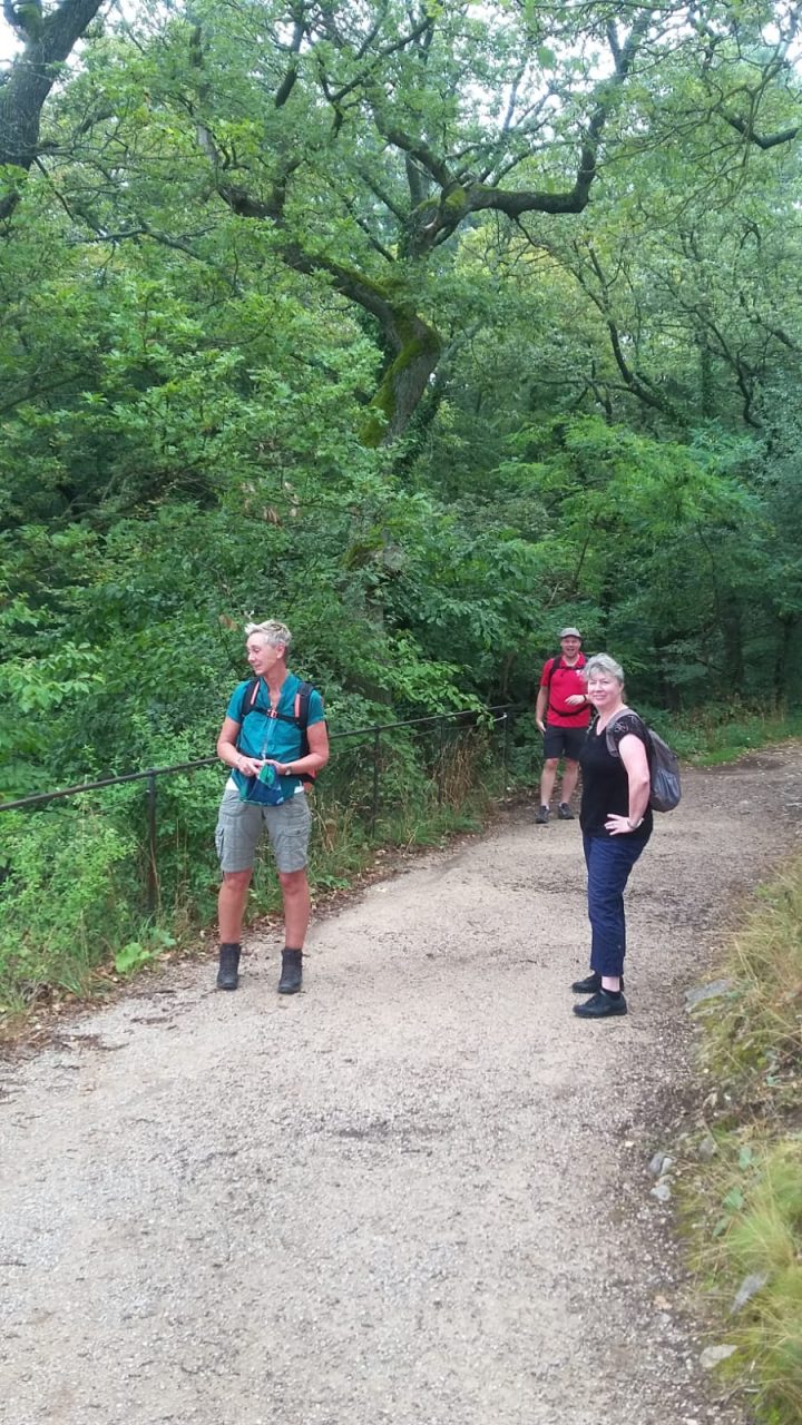 883a52c6-2f4f-48ae-8701-44a3a818efe2