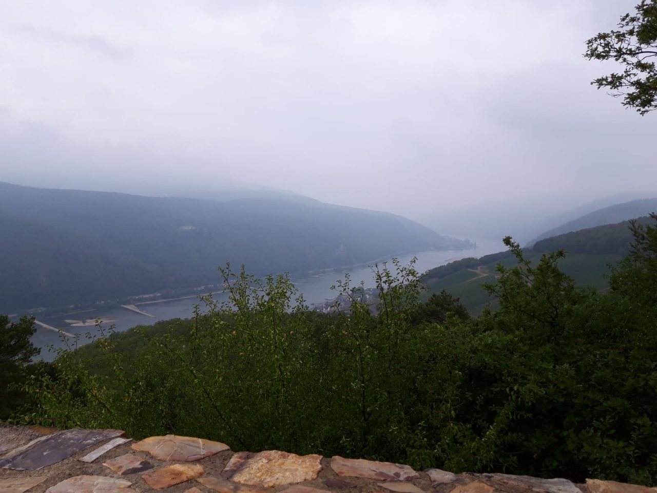 ef62a1b1-586d-4546-9f6e-5402f7c8f28d